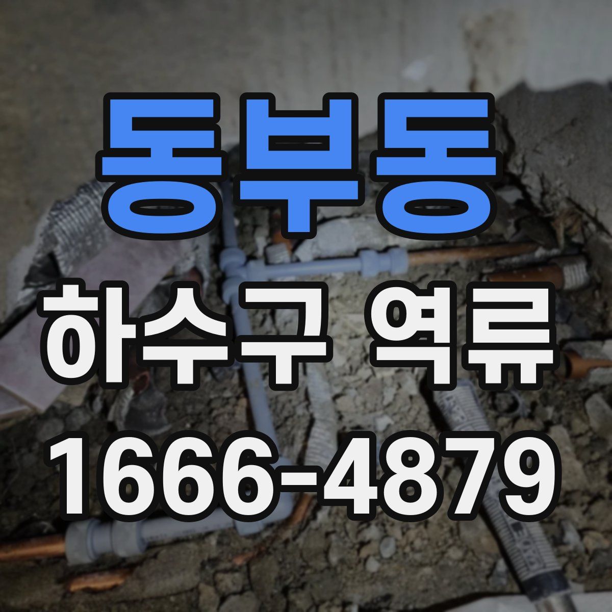 동부동 하수구 역류