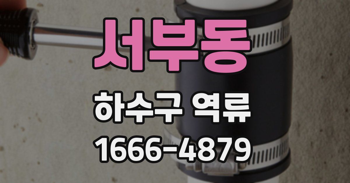 서부동 하수구 역류