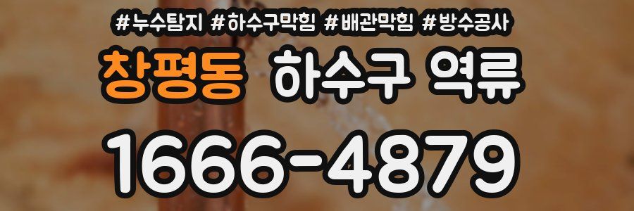 창평동 하수구 역류