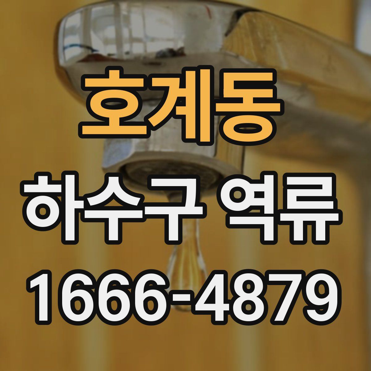 호계동 하수구 역류
