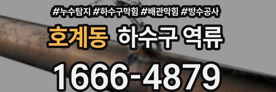 호계동 하수구 역류