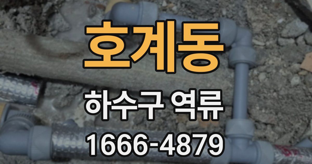 호계동 하수구 역류