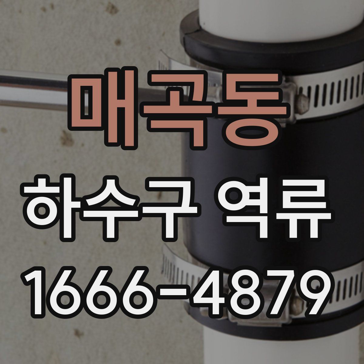 매곡동 하수구 역류