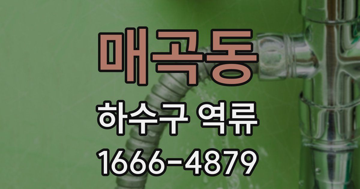 매곡동 하수구 역류