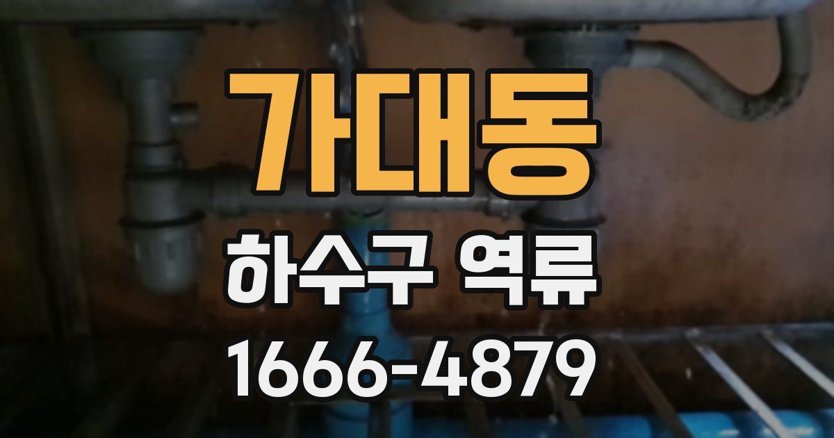 가대동 하수구 역류