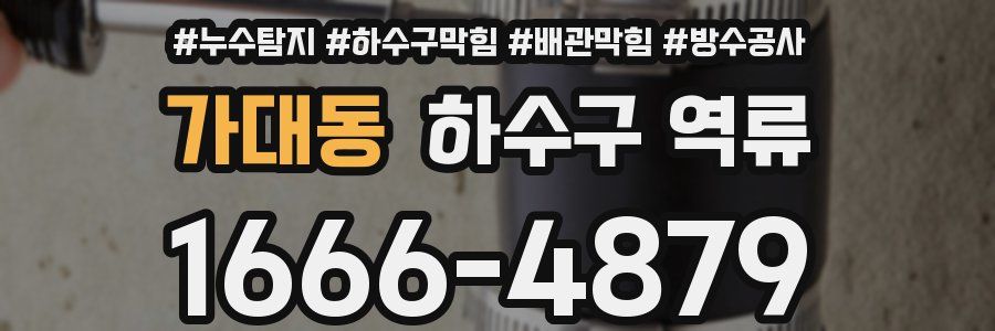가대동 하수구 역류