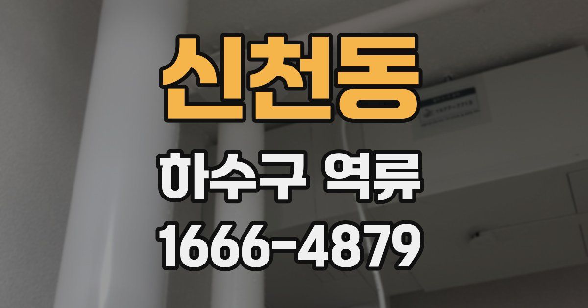 신천동 하수구 역류