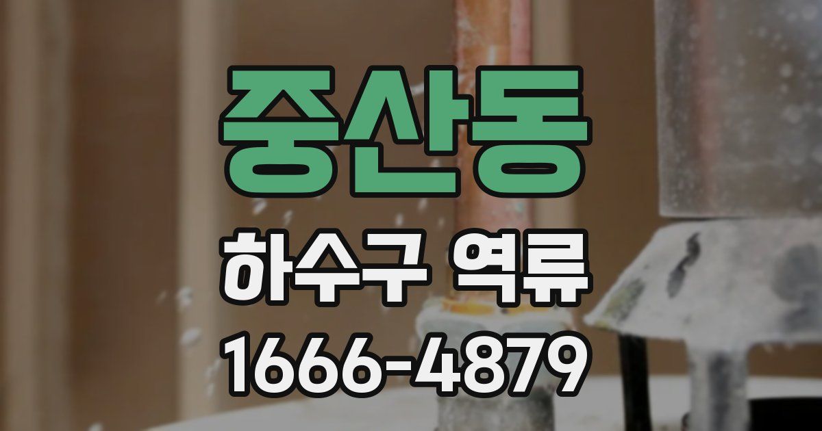 중산동 하수구 역류