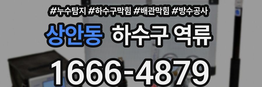 상안동 하수구 역류