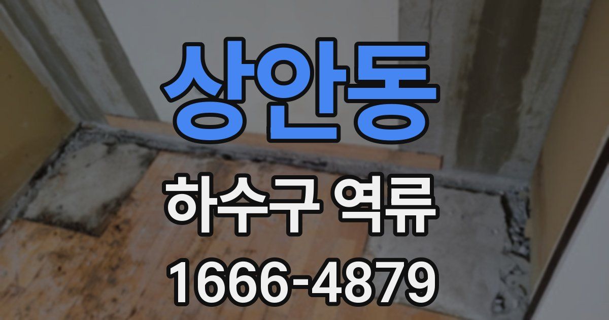 상안동 하수구 역류