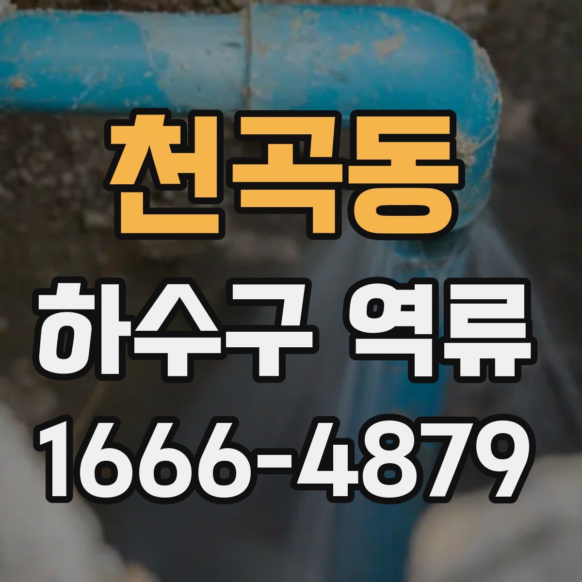 천곡동 하수구 역류