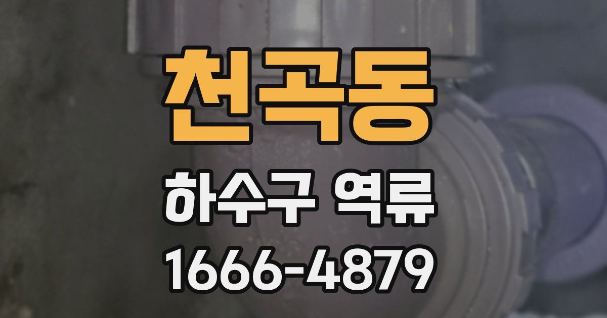 천곡동 하수구 역류