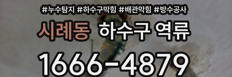 시례동 하수구 역류
