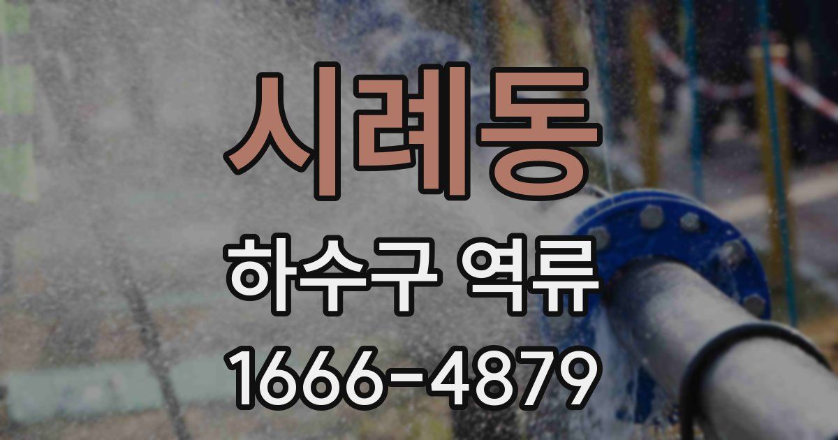 시례동 하수구 역류
