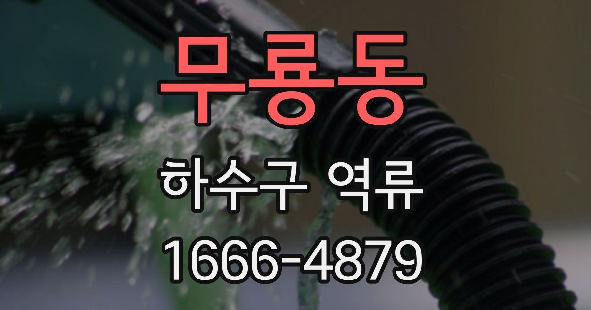 무룡동 하수구 역류