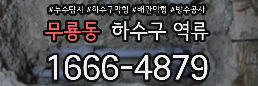 무룡동 하수구 역류