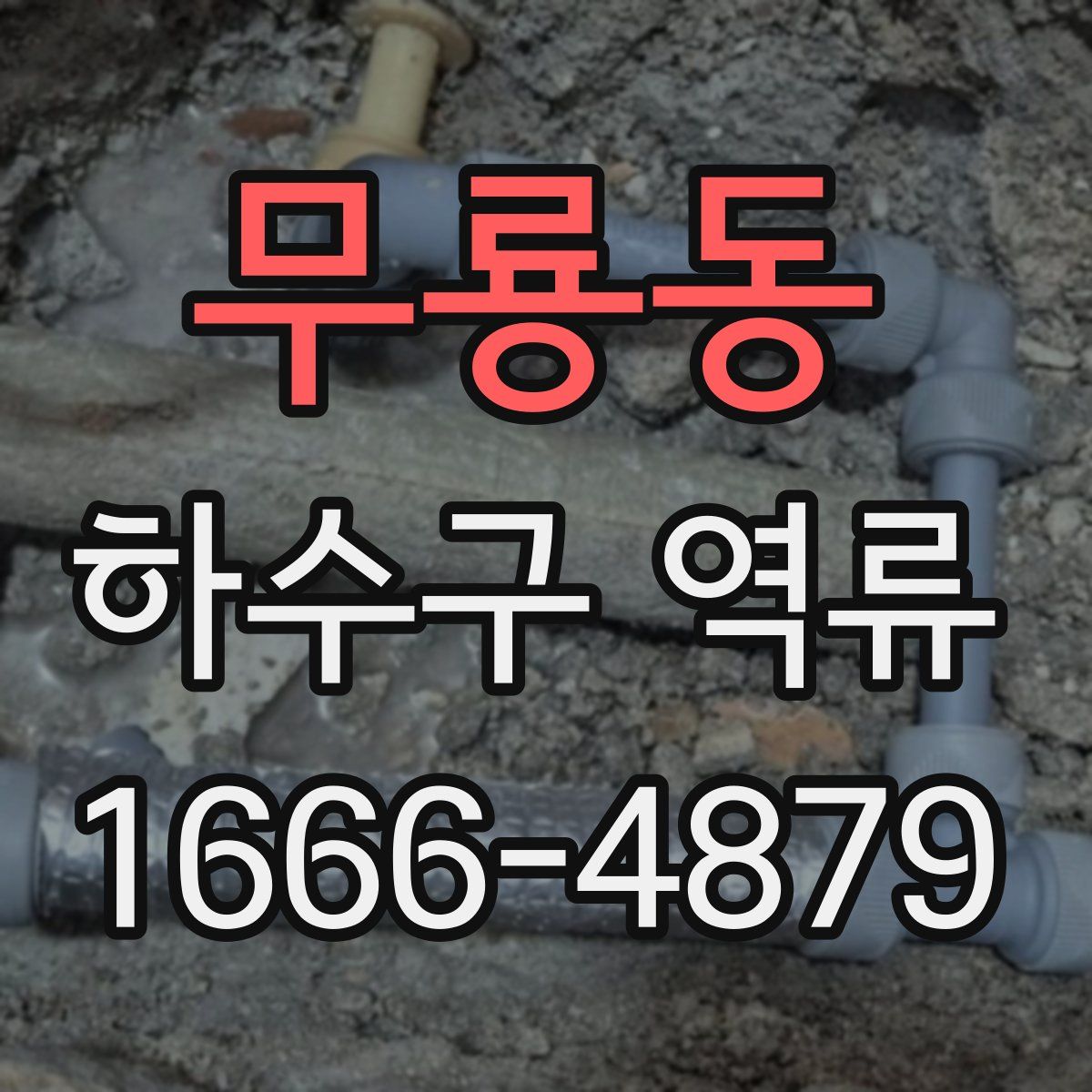무룡동 하수구 역류