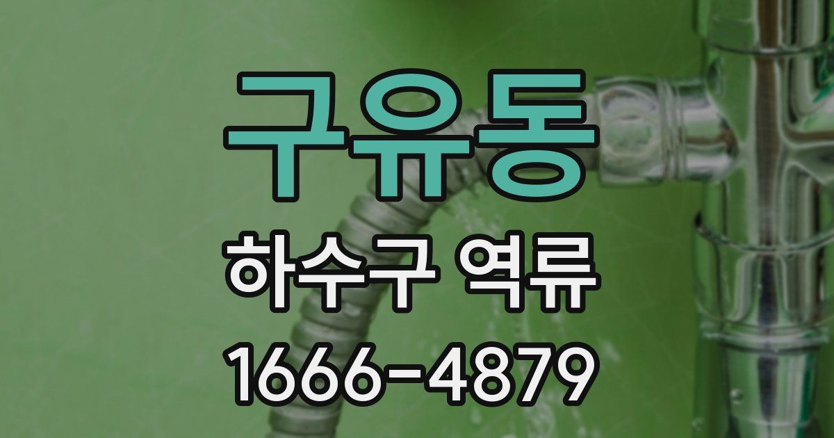 구유동 하수구 역류