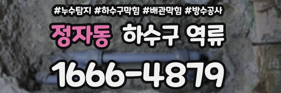 정자동 하수구 역류