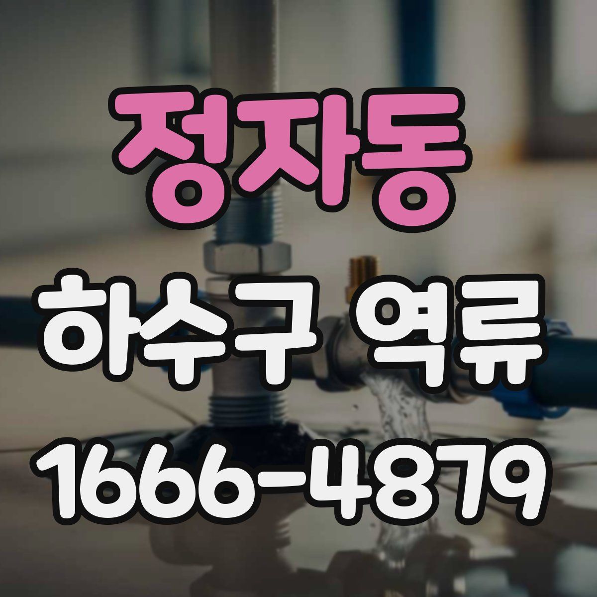 정자동 하수구 역류
