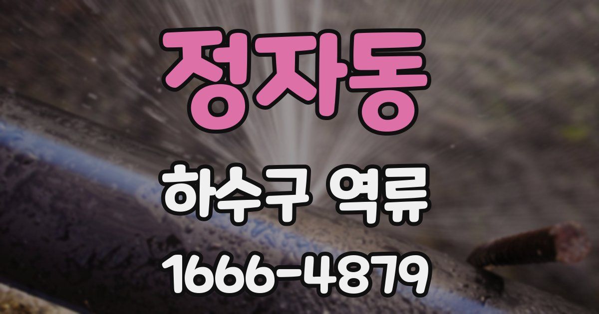 정자동 하수구 역류