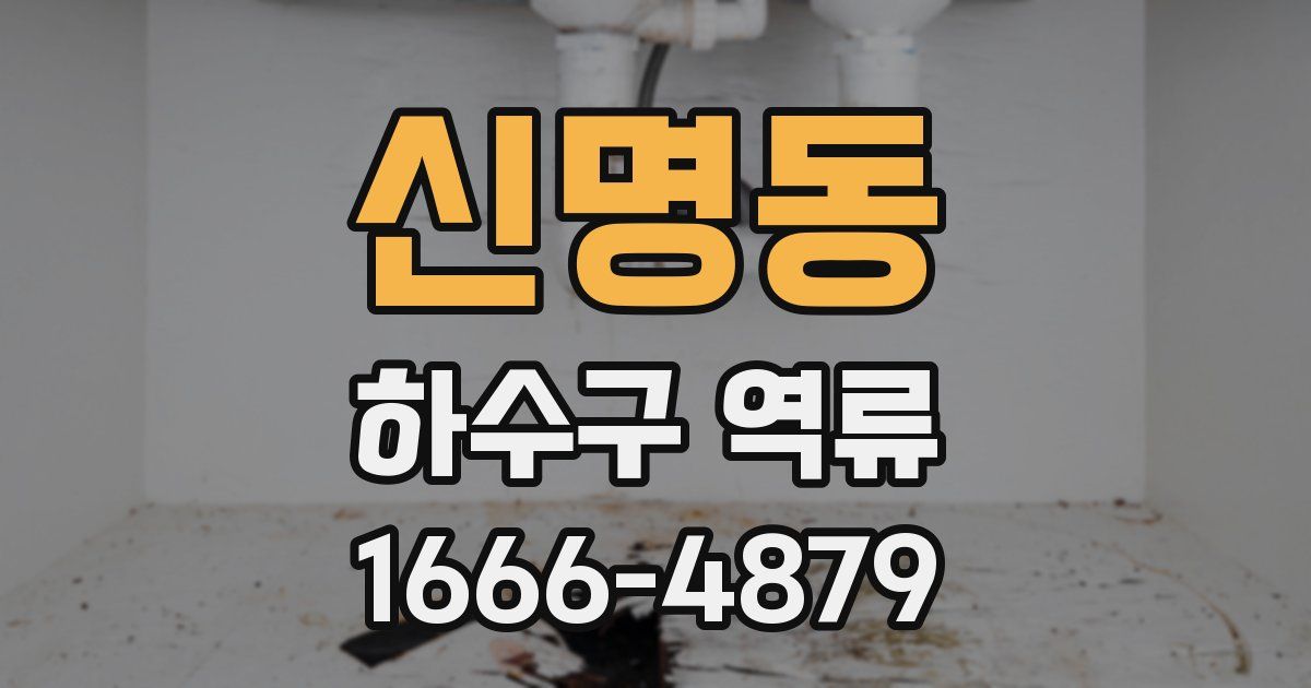 신명동 하수구 역류