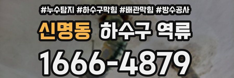 신명동 하수구 역류