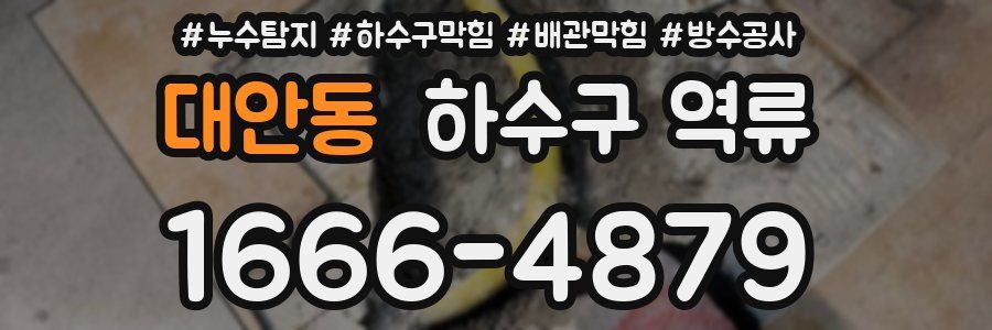 대안동 하수구 역류