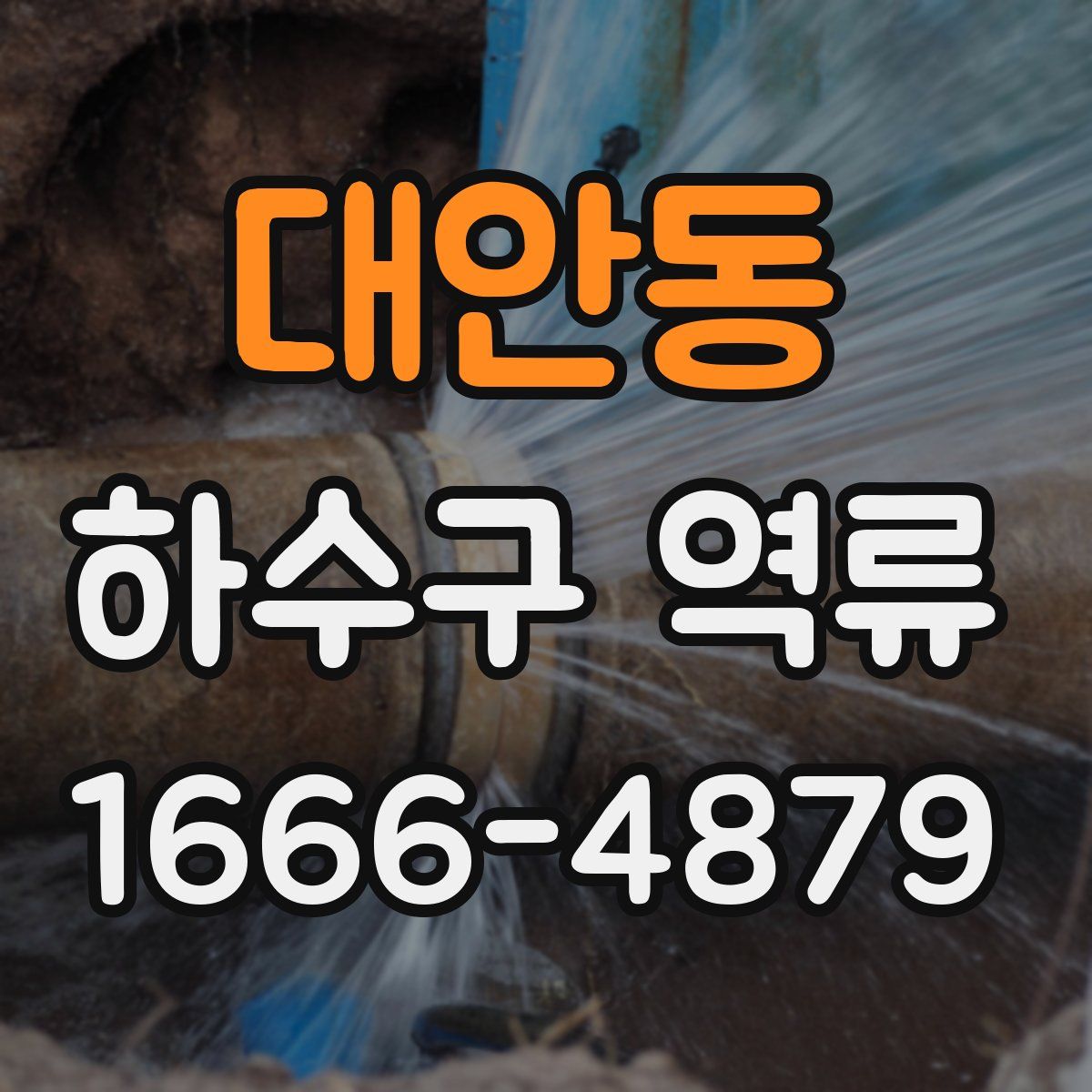 대안동 하수구 역류