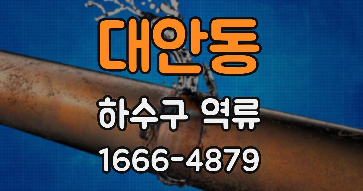 대안동 하수구 역류