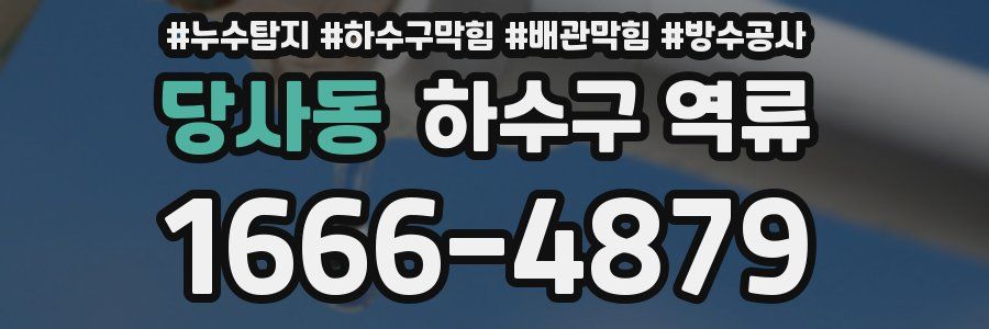 당사동 하수구 역류