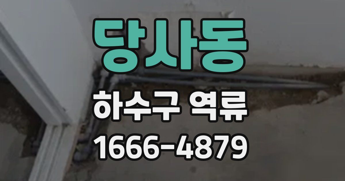 당사동 하수구 역류