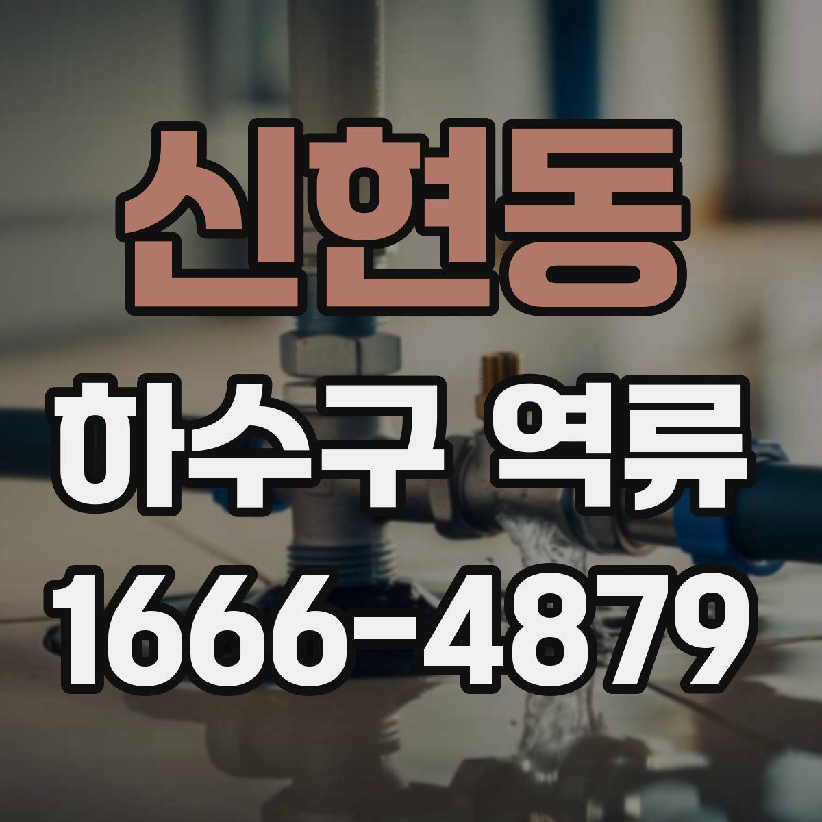 신현동 하수구 역류