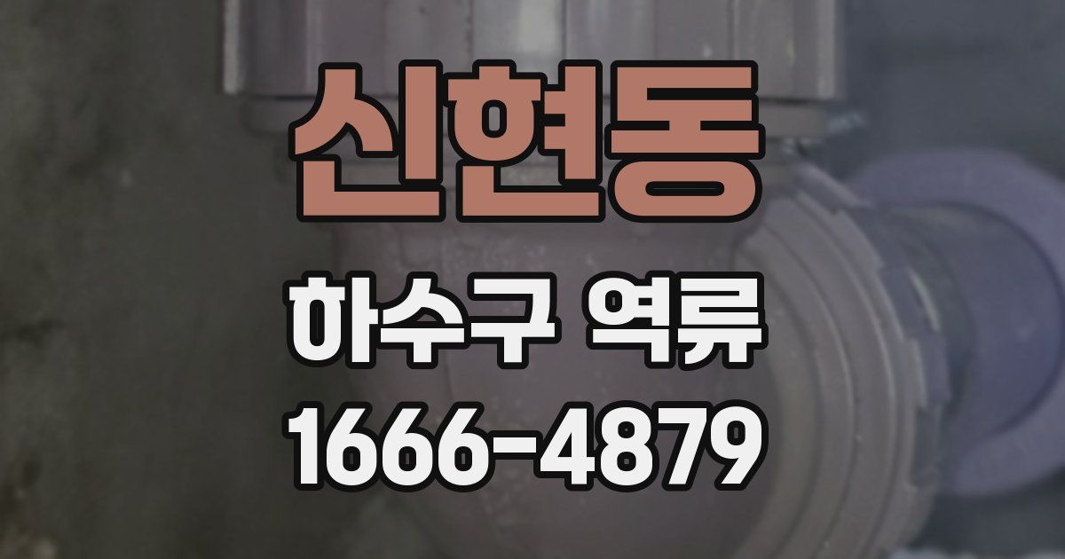 신현동 하수구 역류