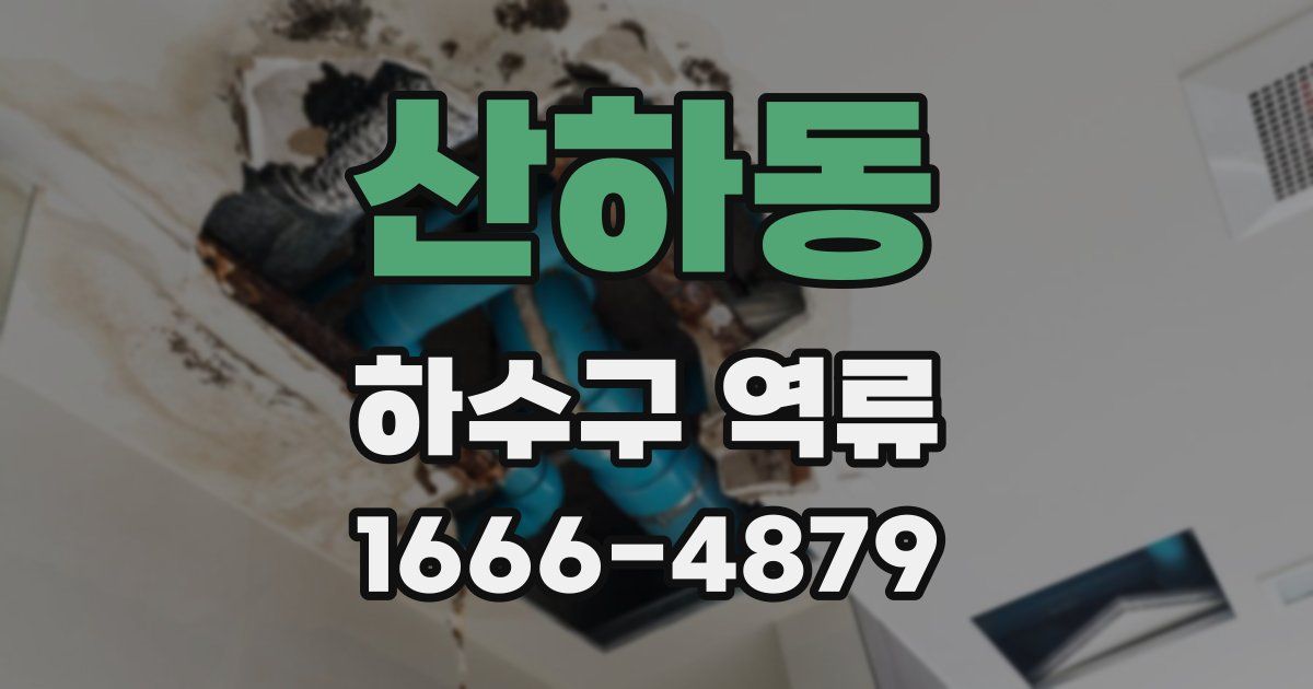 산하동 하수구 역류
