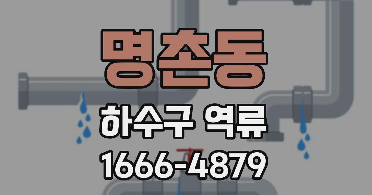 명촌동 하수구 역류