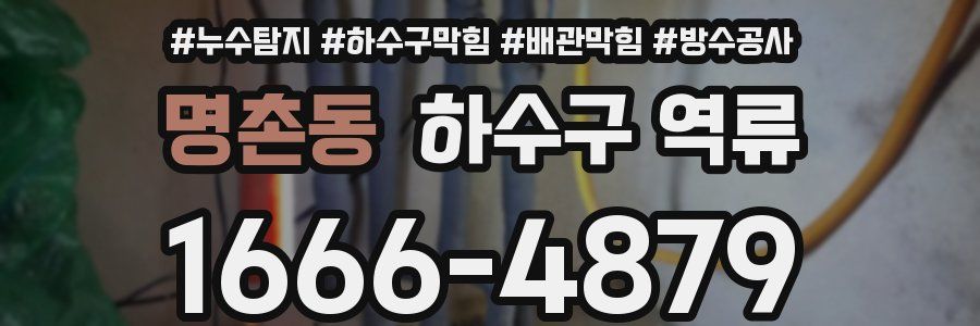 명촌동 하수구 역류