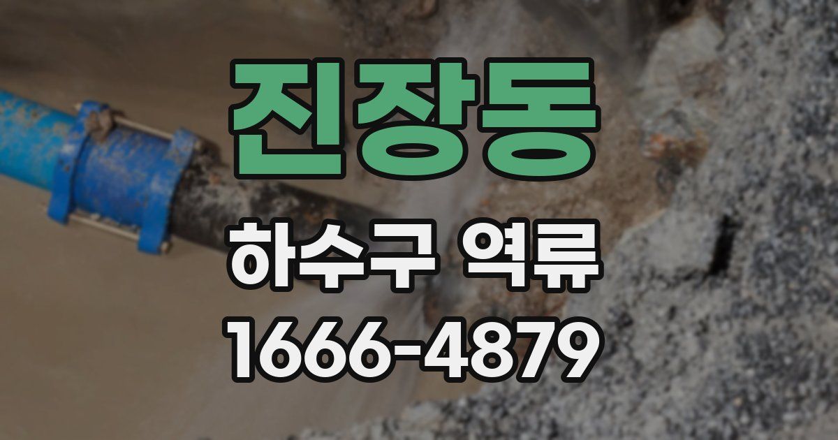 진장동 하수구 역류