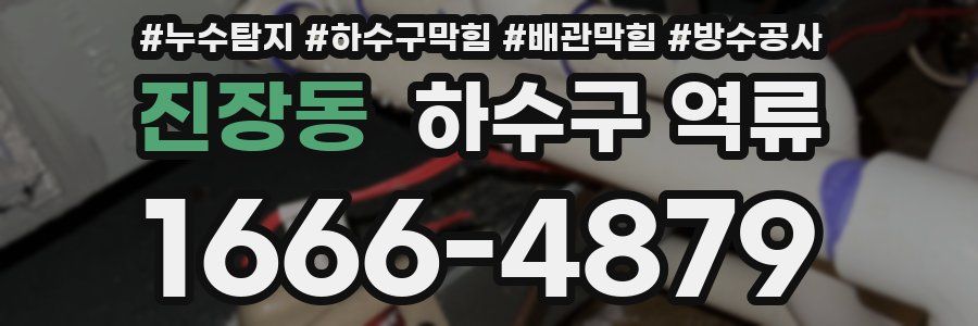 진장동 하수구 역류