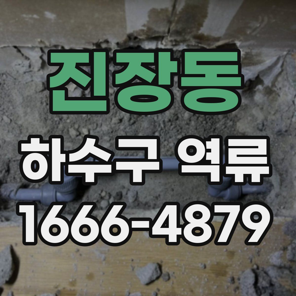 진장동 하수구 역류