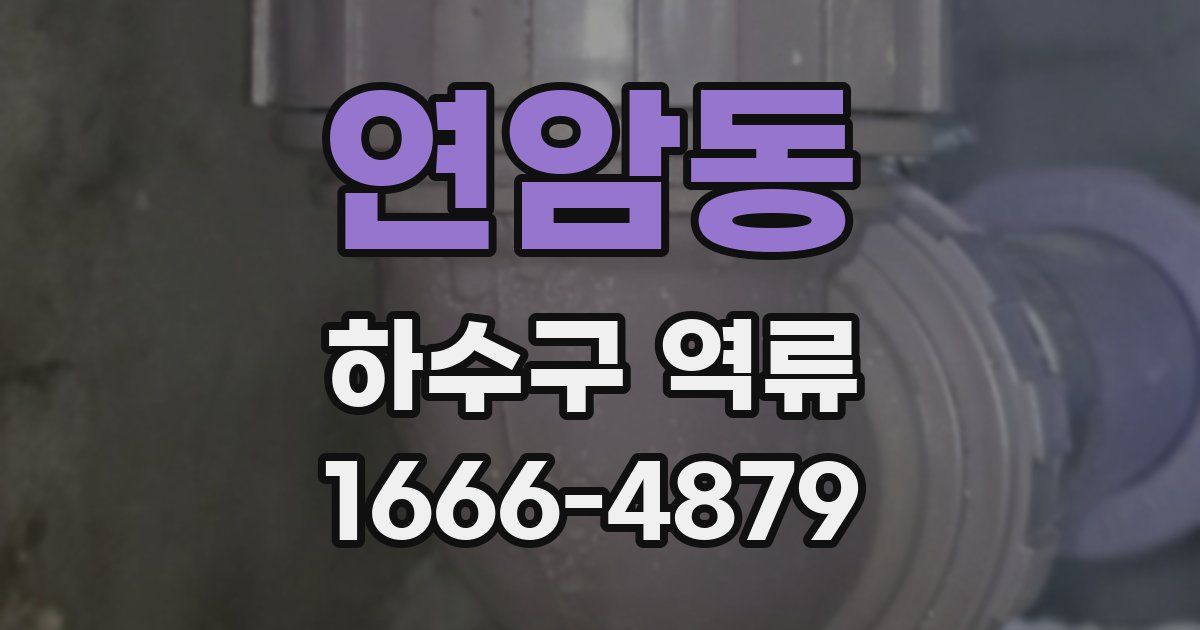 연암동 하수구 역류