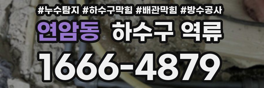 연암동 하수구 역류