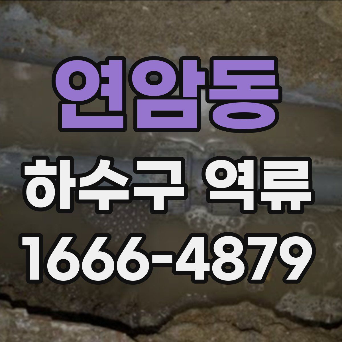 연암동 하수구 역류