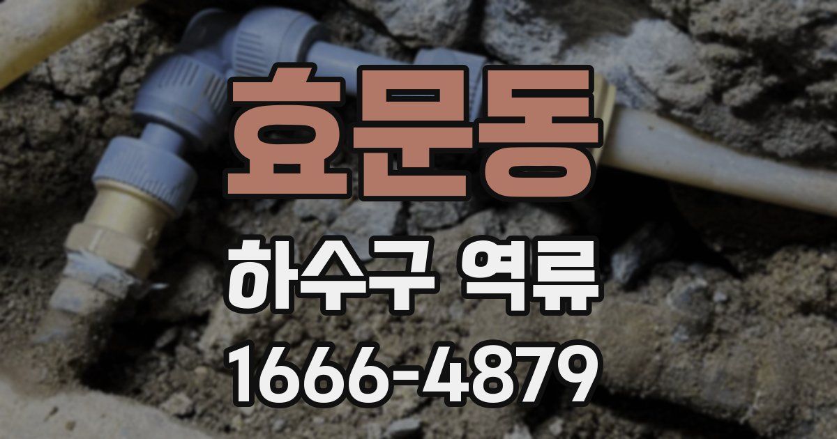 효문동 하수구 역류