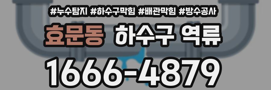 효문동 하수구 역류