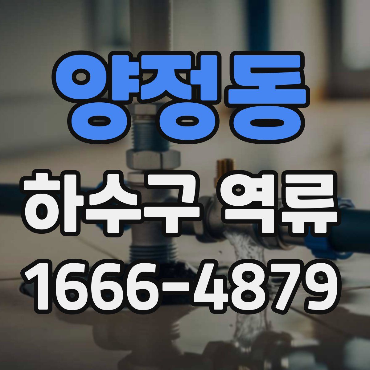 양정동 하수구 역류