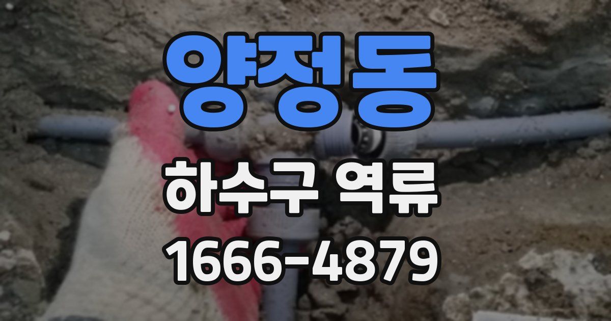 양정동 하수구 역류