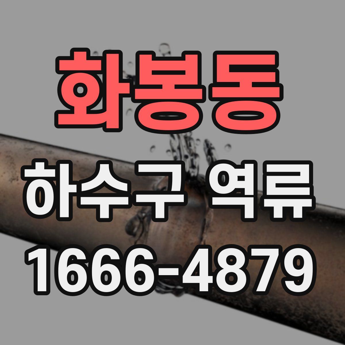 화봉동 하수구 역류