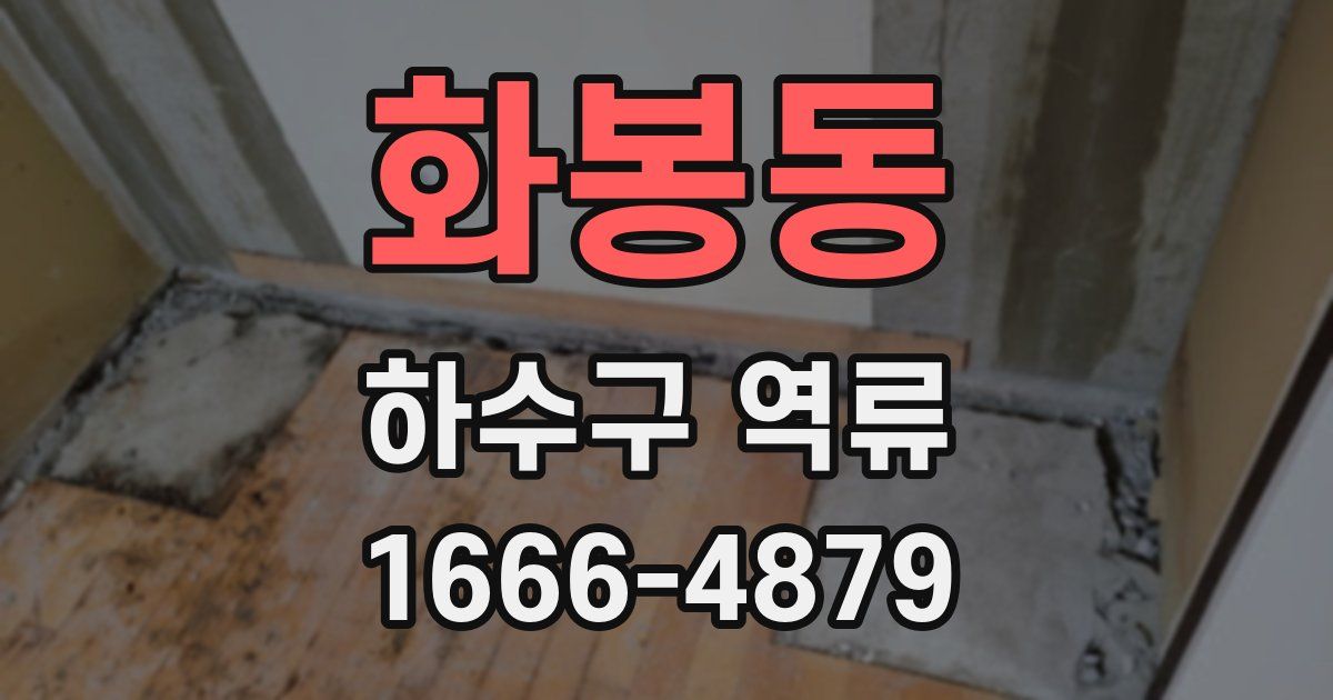화봉동 하수구 역류