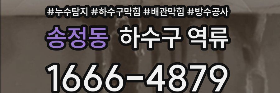 송정동 하수구 역류